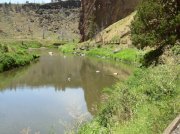 Summer '06 Sunriver 392 